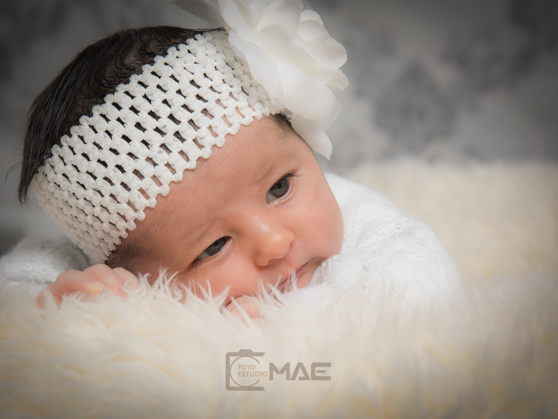 DSC_3154 como objeto inteligente-1